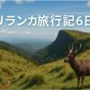 【一人旅】スリランカ旅行記⑥：世界自然遺産の『ホートンプレインズ国立公園』を3時間歩いて観光！