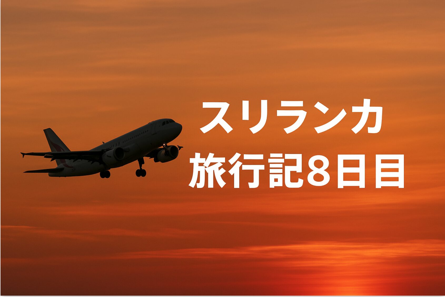 【一人旅】スリランカ旅行⑨：本格的アーユールベーダを体験してコロンボを観光後日本への帰路へ！