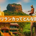 スリランカってどんな国？魅力あふれるインド洋の真珠を徹底解説！